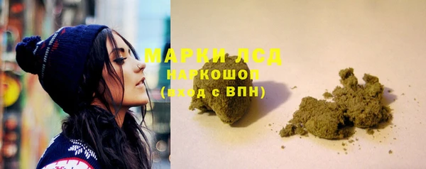 трава Новодвинск
