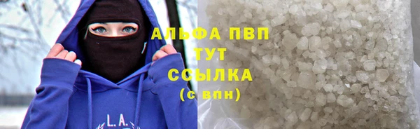 трава Новодвинск