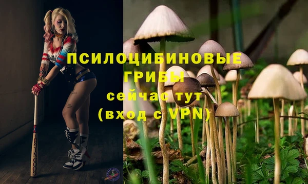 эйфоретик Нягань