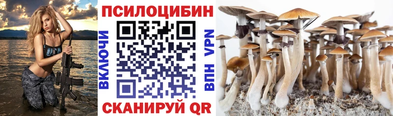 Псилоцибиновые грибы мицелий  Ковылкино 